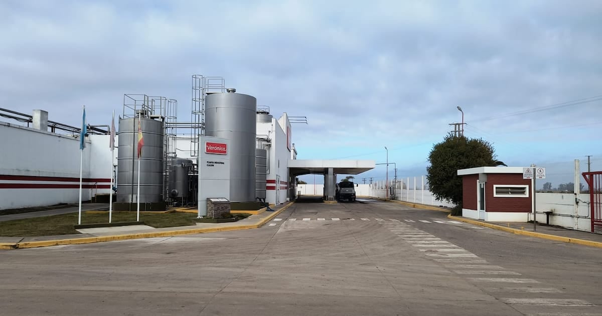 Verónica vende dos plantas por 15,5 millones de dólares y traspasa 225 puestos para tentar una salida al concurso