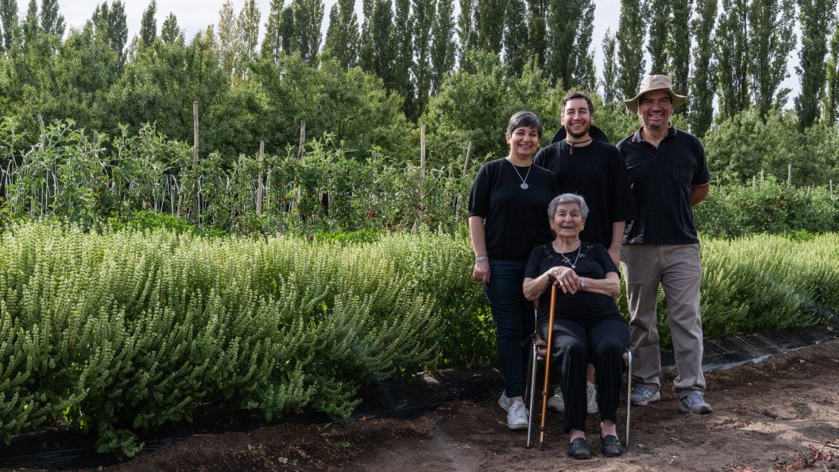 El comprobante de la abuela que guardaba una receta y terminó en la góndola: cuatro generaciones de salsa italiana en Centenario