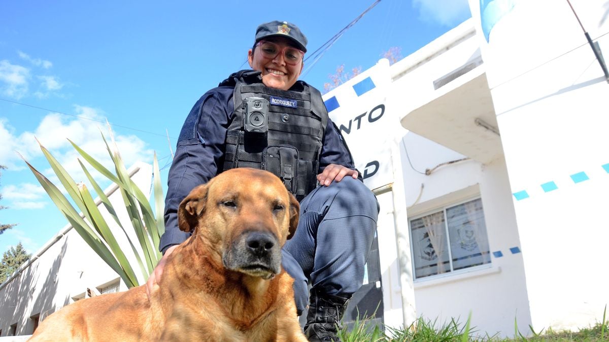 Puchero, el perro que adoptó a la Policía de Neuquén y se niega a jubilarse