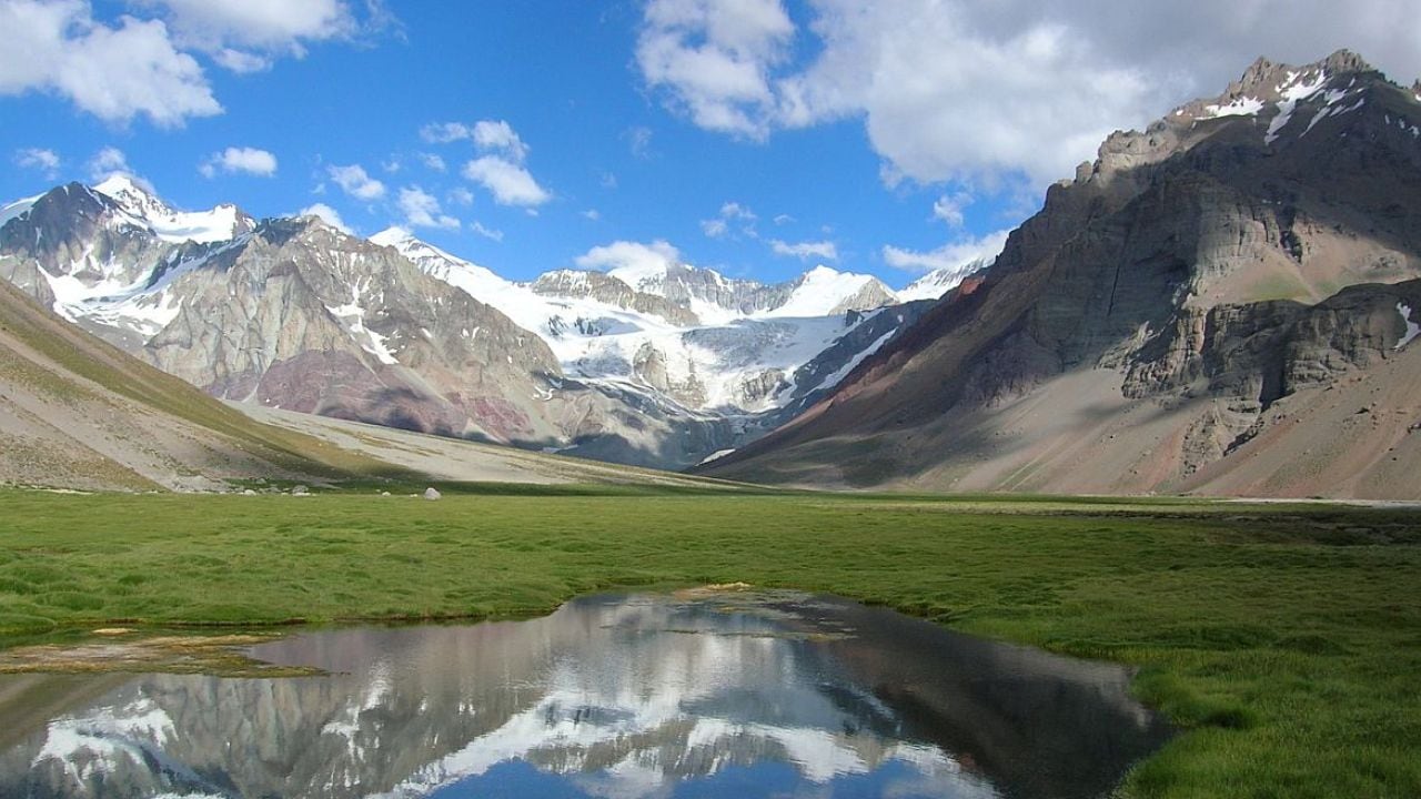 Cinco colosos argentinos, a la caza de un sello mundial