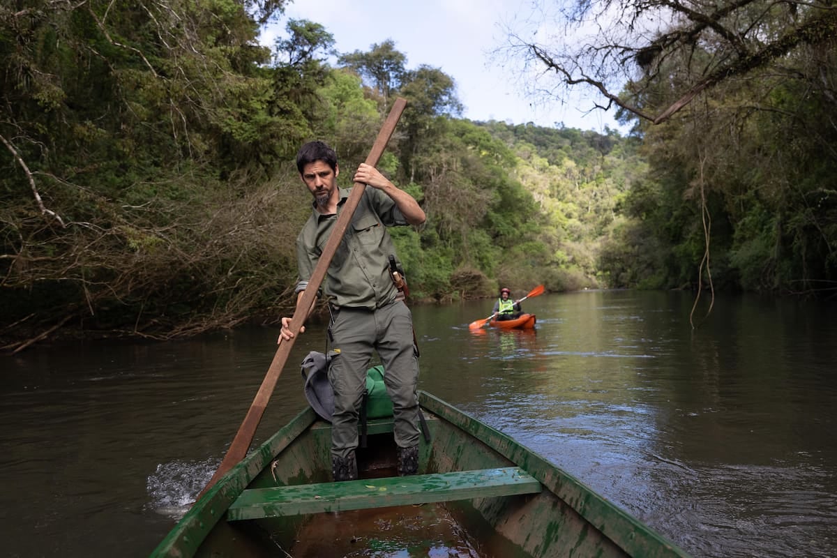 A 290 kilómetros de Iguazú, una reserva privada de Misiones combina cabañas sobre el agua, kayak y senderos en la selva paranaense