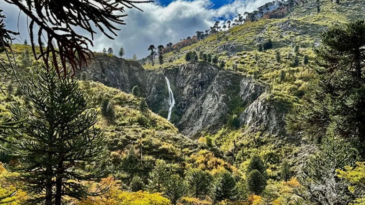 Cuidado con los lotes truchos en Pulmarí: por qué una seña puede terminar en una estafa