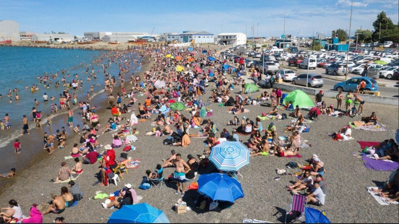 Comodoro Rivadavia se prepara para un 2027 a pura ballena sei, lobos marinos y sabores del golfo San Jorge