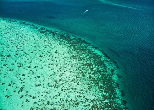 San Pedro, la puerta del Caribe beliceño entre corales, naufragios y playas escondidas
