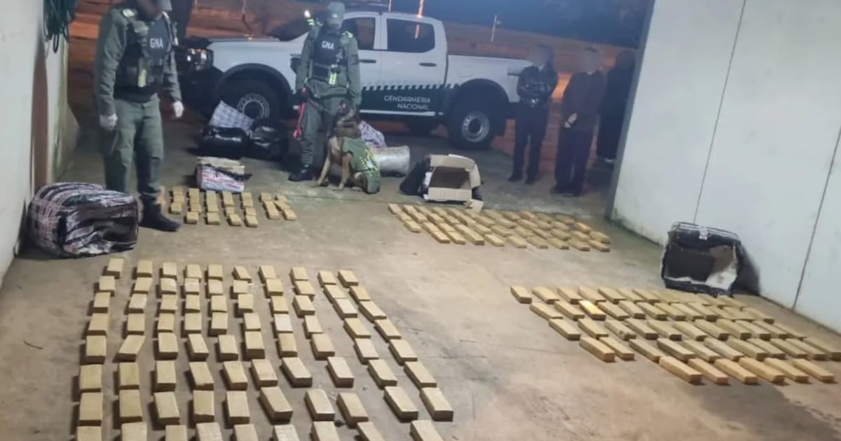 Secuestran 142 kilos de marihuana en un micro de larga distancia que iba de Misiones a Buenos Aires