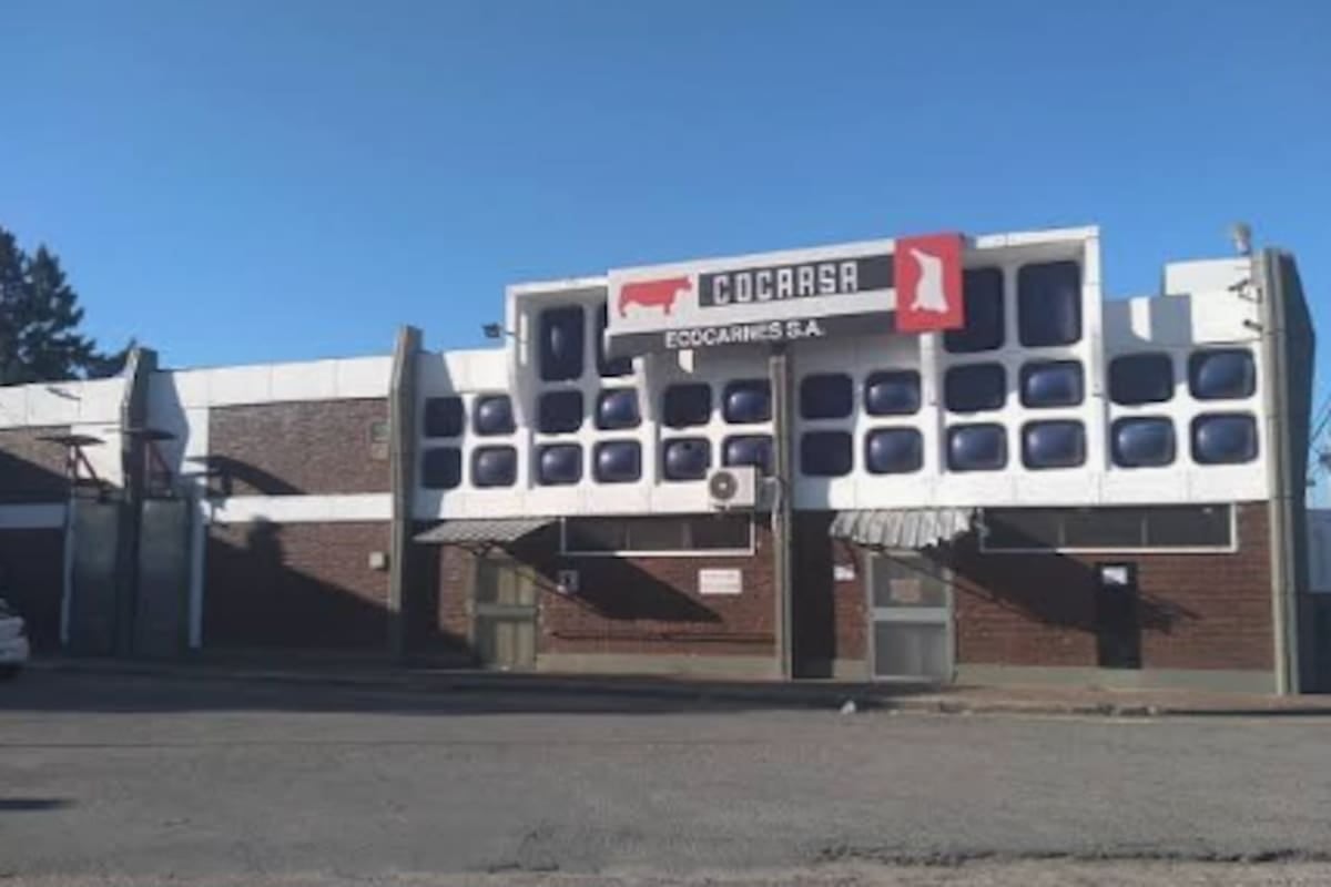 San Fernando: la cobertura médica y los sueldos, ejes del conflicto en Ecocarnes