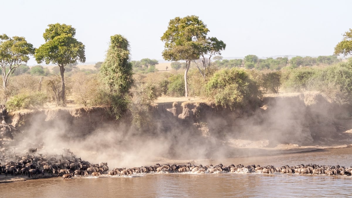 Tanzania en tres actos: baobabs, llanuras y un cráter con 25.000 animales esperándote