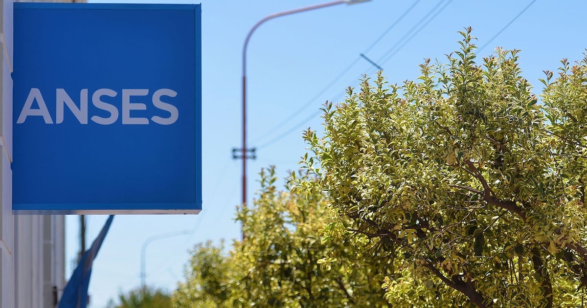 Calendario de ANSES para octubre: cómo les llega el cobro a los DNI terminados en 2 y cuánto embolsan los haberes mínimos