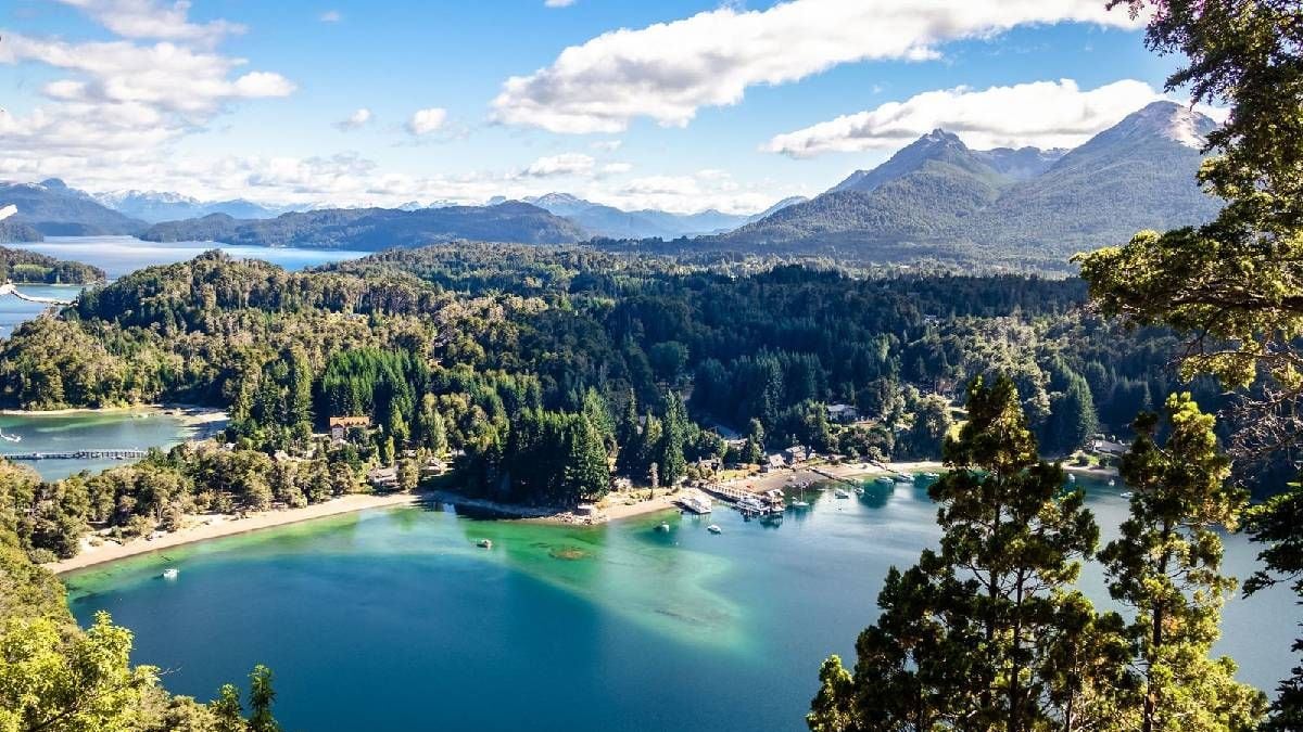 Un hostel con aroma a bosque en Villa La Angostura te abre la puerta a cambio de 25 horas semanales de minga