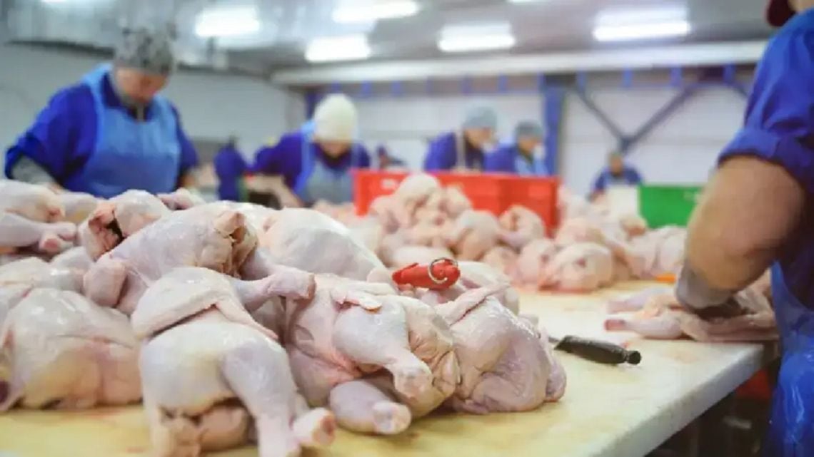 El pollo ya le ganó la pulseada a la carne vacuna en la mesa de los argentinos