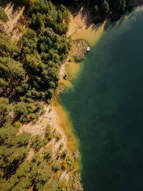 La isla que se alcanza solo con el agua: viaje a la capilla de 1933 que sobrevive en el lago Lácar