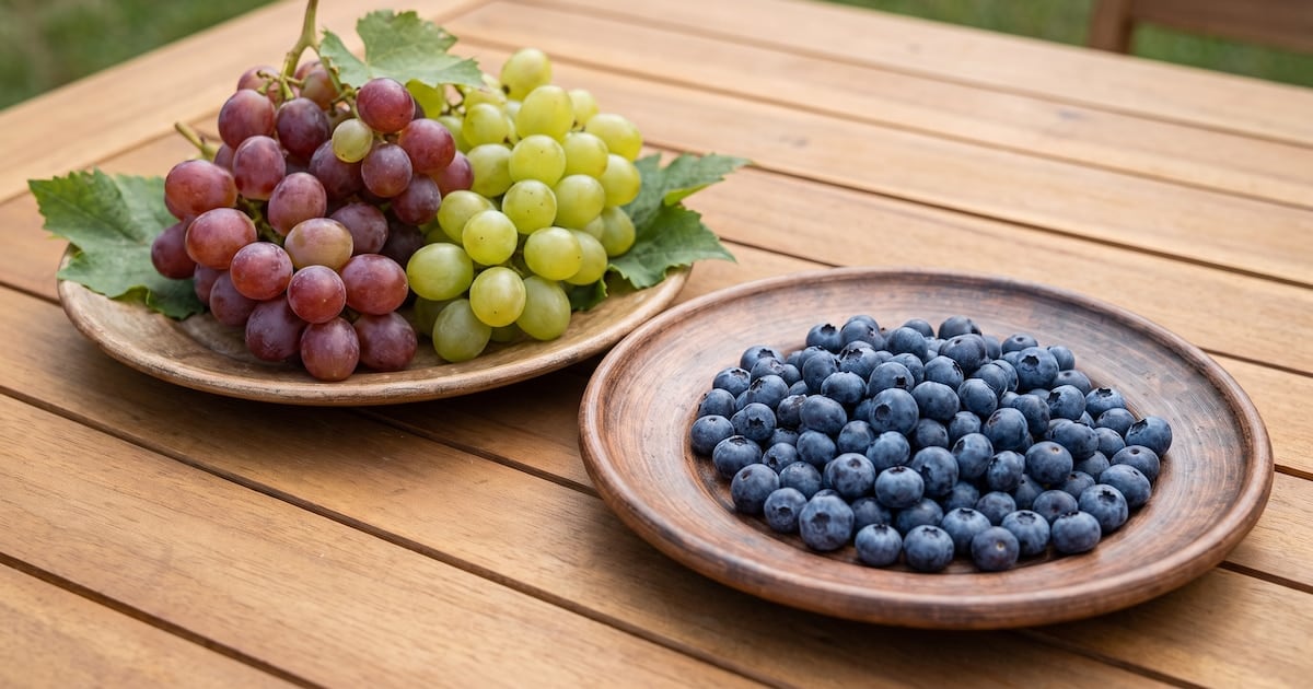 Arándanos y uvas, la pulseada silenciosa por el azúcar en sangre: cuál gana y por qué