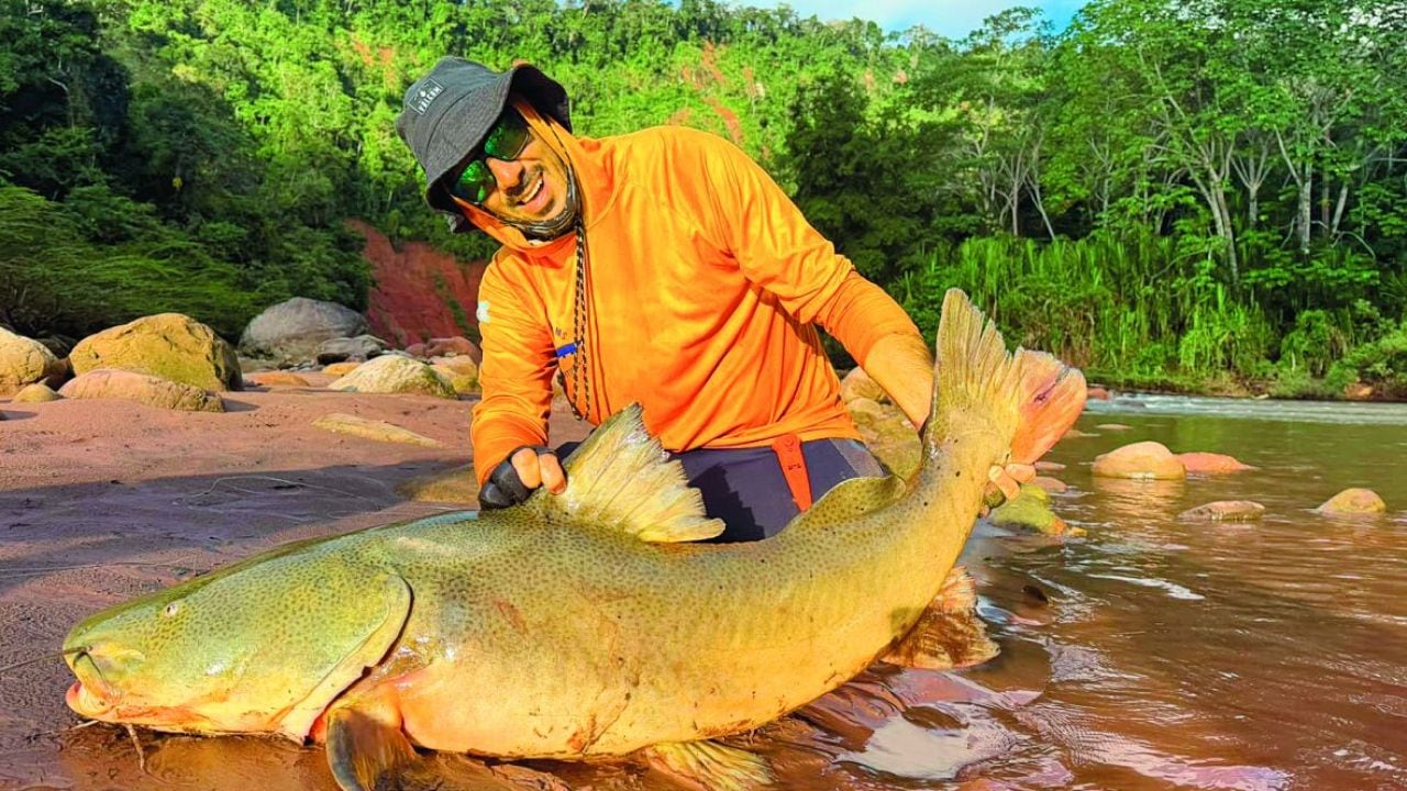 Pesca deportiva en el Amazonas boliviano: quince especies, jornadas de doce horas y piezas que sorprenden por su peso