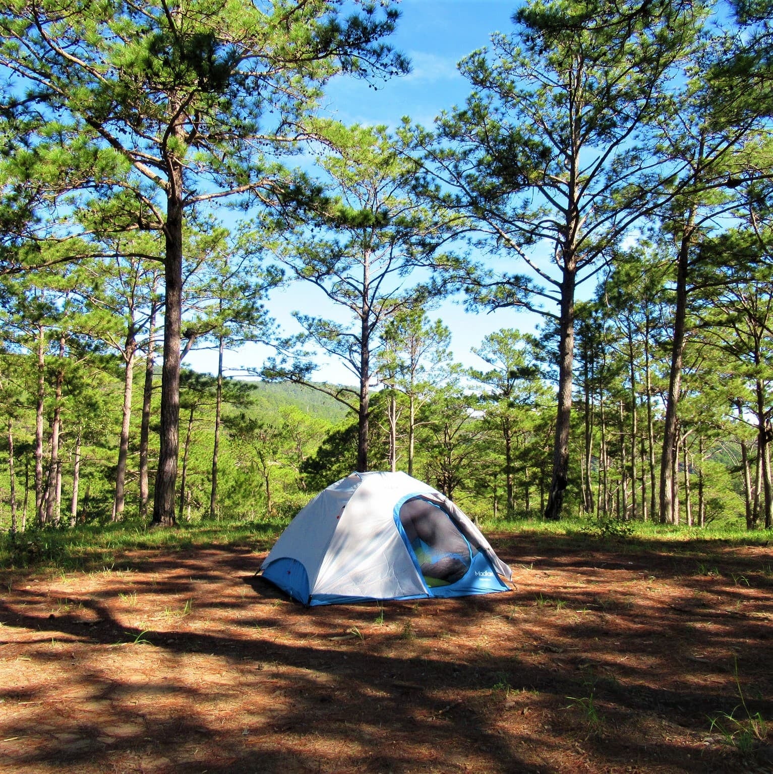 Huttopia llega a Mar Azul con 55 hectáreas de bosque, 240 parcelas y un ambicioso plan de campings en Argentina