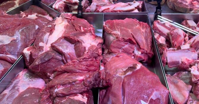 La carne fresca de cerdoScientistsimp