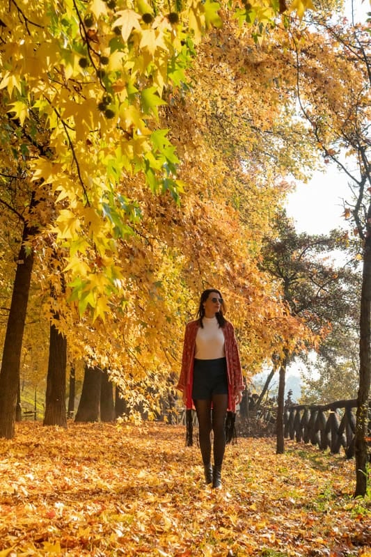 El otoño europeo cambia el ritmo: doce capitales para recorrer sin las multitudes del verano